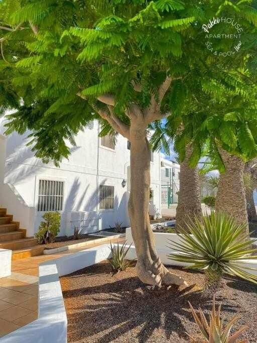 Apartament San Valentin Pakky House Corralejo Zewnętrze zdjęcie
